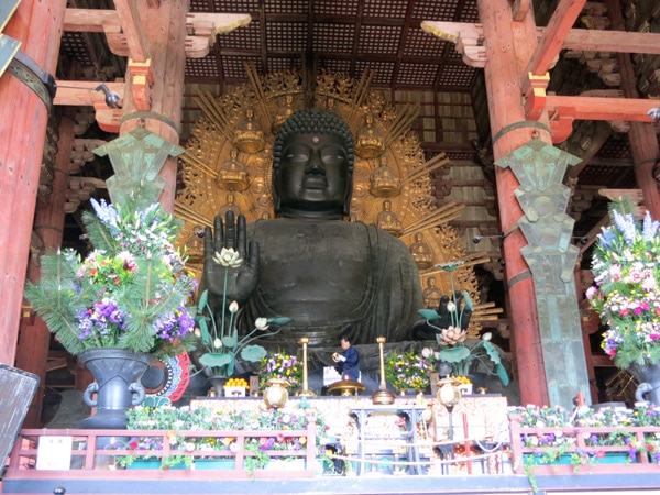 nara bouddha