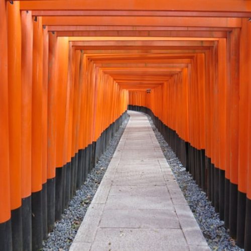 Kyoto – Marché de Nishiki et Sanctuaire d’Inari – 2012