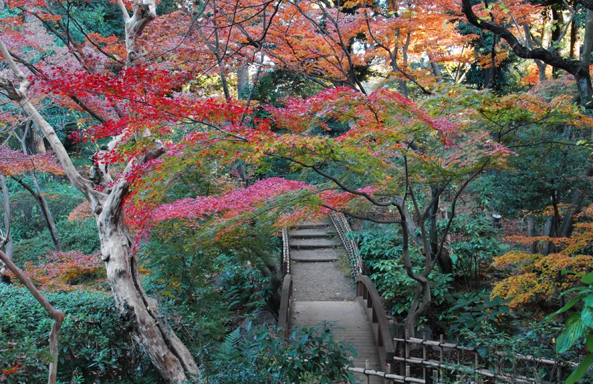 tokyo-2017-meguro-teien-art-museum-garden