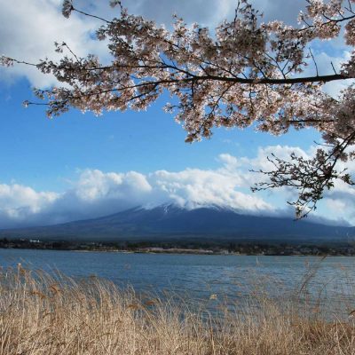 Arrivée à Kawaguchiko 2016 – Première rencontre avec le Mont Fuji